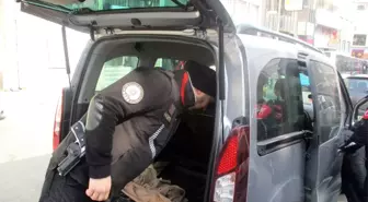 İstanbul'da Polis Ekiplerinden 'Kurt Kapanı' Uygulaması