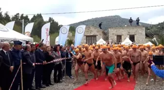 Sporcular, Sokak Hayvanları İçin Kış Ortasında Kulaç Attı