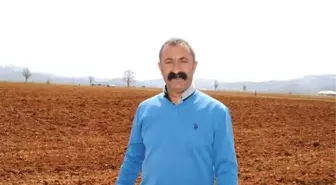 Tunceli'de Yapılan Ankette HDP Adayları, Komünist Başkan Fatih Mehmet Maçoğlu'na Fark Attı