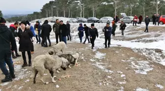 Cumhur İttifakı Adayından Örnek Davranış