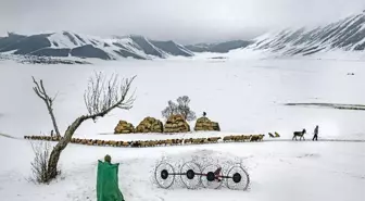 En İyi 'Tarım' Fotoğrafları