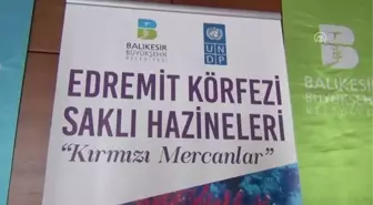 Edremit Körfezi Saklı Hazineleri Kırmızı Mercanlar Projesi'