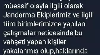 Kırklareli'de Kedi ve Köpekleri Yakanlar Yakalandı