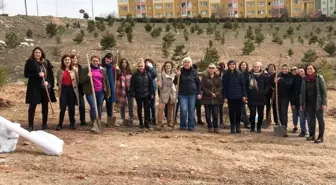 Kadın Cinayetlerinde Hayatını Kaybeden Kadınlar Anısına Fidan Diktiler