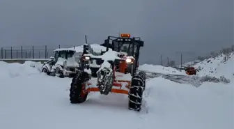 Tendürek'de Kar ve Tipi Ulaşımı Felç Etti