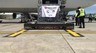 Turkish Cargo, Sirk Aslanlarını Doğal Yaşam Alanlarına Ücretsiz Taşıdı