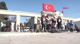 İstanbul Bakırköy'de Kadın Muhtar Adaylarından Şiddet İddiası