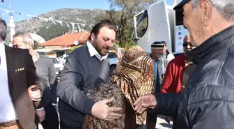 Yapacaklarımız Türkiye'ye Örnek Olacak'