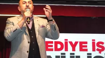 Bakan Çavuşoğlu'ndan Avusturya'ya 'Bozkurt' Tepkisi