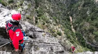 Kayalıklarda Mahsur Kalan Keçiler Akut Ekiplerince Kurtarıldı