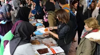 Gaün'de 'Nijer'de Üç Eser' İçin Kermes Düzenlendi