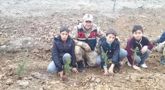 Jandarma ve Öğrenciler Fidan Dikti