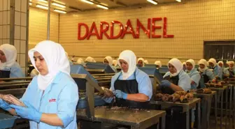 Dardanel, Çanakkale Fabrikasında İstihdam Önceliğini Kadınlara Tanıyor