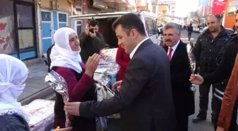 Kaymakam Şekerci Kadınlara Karanfil Dağıttı