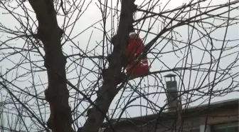 Öğrenciler Kuşlar İçin Damacanadan Yuva ve Yemlik Yaptı