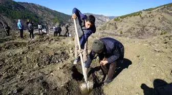 İskilip Çilekten Sonra Kapari de Örnek Olacak