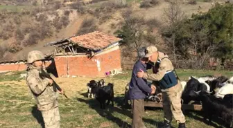 Kayıp Keçileri Jandarma Buldu