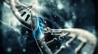 Bitki Dna'larını Değiştirmede Kullanılabilecek Yeni Bir Yöntem Keşfedildi