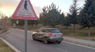 Gelengiler, Erciyes Üniversitesi Kampüsünde Kendini Gösterdi