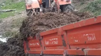 Traktörün Altında Kalan Sürücü Öldü, Eşi Ağır Yaralı