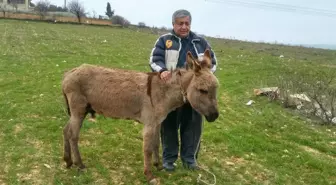 Gaziantep'te Sıpaya Akıl Almaz İşkence