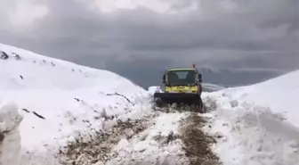 Siirt'te Kar Yağışı Nedeniyle Köylere Ulaşım Sağlanamıyor