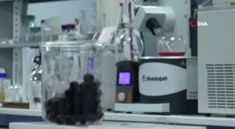 Zayıflamanın Yeni Trendi 'Aronia Meyvesi'...1 Kaşığı Günlük 1 Kilogram Meyveye Eş Değer