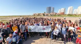 İzmir Körfezi'nde Flamingolardan Kur Dansı