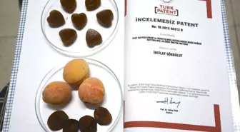 Kayısıdan 'Doğal Jelibon' Üretildi