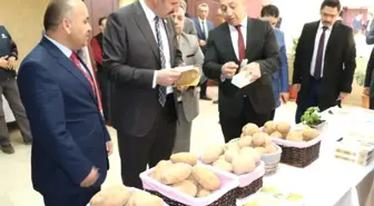 Sivas'ta Patatesin Üretimi ve Sorunları Anlatıldı