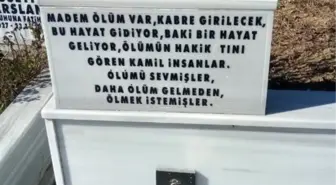 Yalova'da Çeşmelere Zarar Verdiler