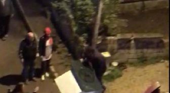 Önce Hayvanlara Sonra Hayvanseverlere Saldırdı