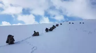 Türkiye ve İran'dan PKK'ya Eş Zamanlı Operasyon