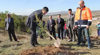 Denetimli Serbestlik Yükümlüleri Fidan Dikti