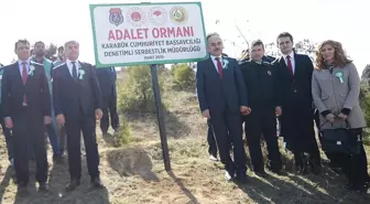 Karabük'te 'Adalet Ormanı' Oluşturuldu