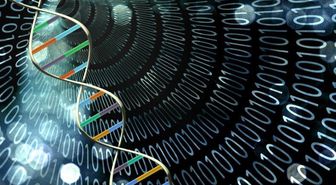 Bilim İnsanları, Yeniden Programlanabilir Dna Tabanlı Bir Bilgisayar Oluşturmayı Başardı