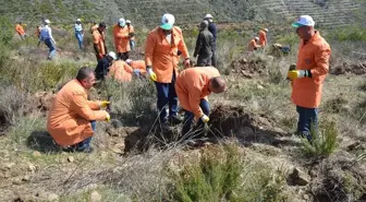 Hükümlüler Adalet Ormanı'na Fidan Dikti