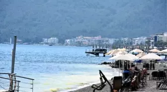 Marmaris'te Denizin Kıyısı Sarıya Boyadı