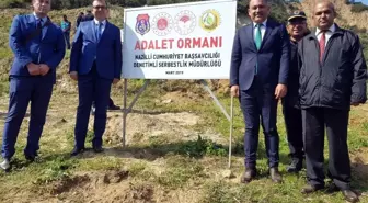 Nazilli'de 'Adalet Ormanı' Yeşeriyor