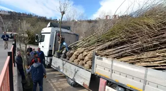 Tunceli'nin Fidanları Bursa'dan Getiriliyor