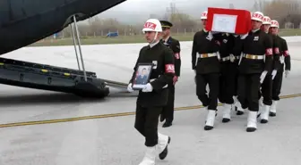 Şehidin Cenazesi Tokat'a Getirildi