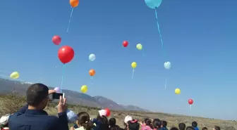 Tohumların Gökyüzünde Yolculuğu