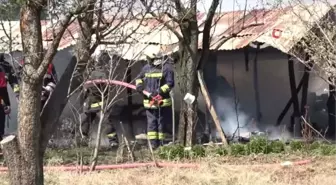 Yanan Kümesteki Horozlarını Kurtarmak İsterken Canından Oluyordu