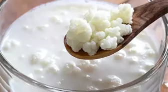 Kefir Pazarı Büyüyor: 18 Bin Litre Kefir İçtik!