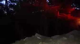 Aydın'da Orman Yangını