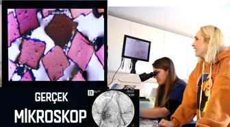 Makyaj Malzemelerini Mikroskop Altında İnceledik ve Röntgen Çektik | Sebile Ölmez