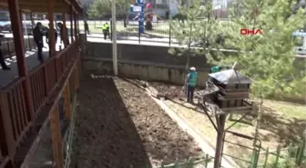 Sivas Huzurevinin Onarımını, Denetimli Serbestlik Hükümlüleri Yapıyor