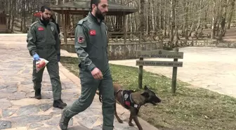 Kayıp Üniversite Öğrencisi Belgrad Ormanı'nda Aranıyor