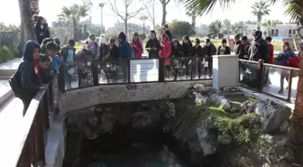 Pamukkale'de Binlerce Öğrenci Tarihini Tanıdı