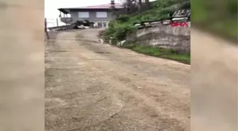 Rize Oğlak ile Köpeğin Kıskandıran Dostluğu